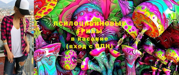 дмт Алзамай