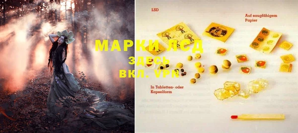дмт Алзамай