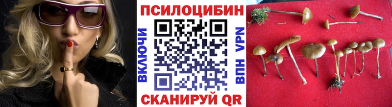 Галлюциногенные грибы мицелий  kraken   Дмитров 