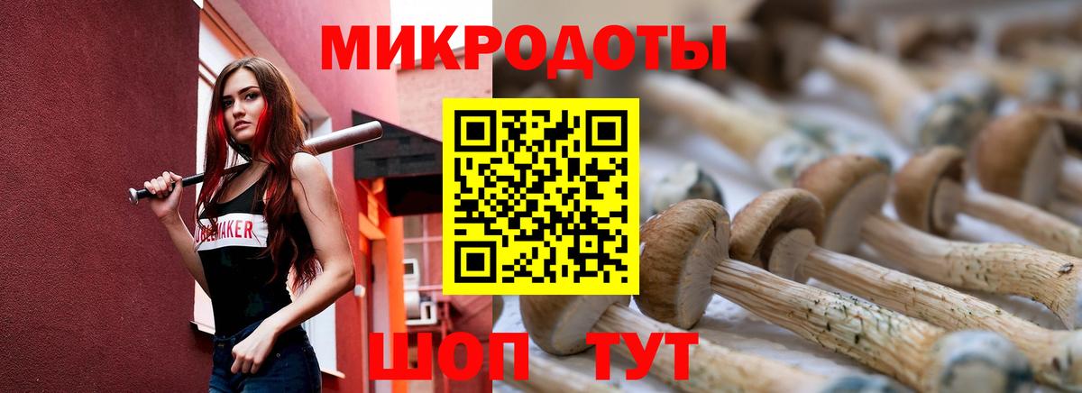 Дмитров  Галлюциногенные грибы Psilocybine cubensis  Вход с VPN 